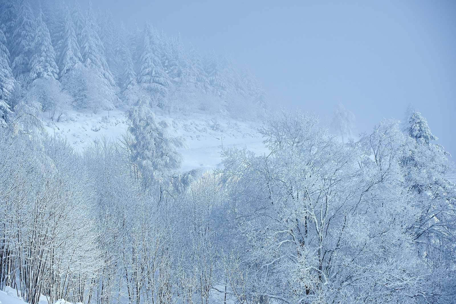 La vallée de la Bruche sous la neige