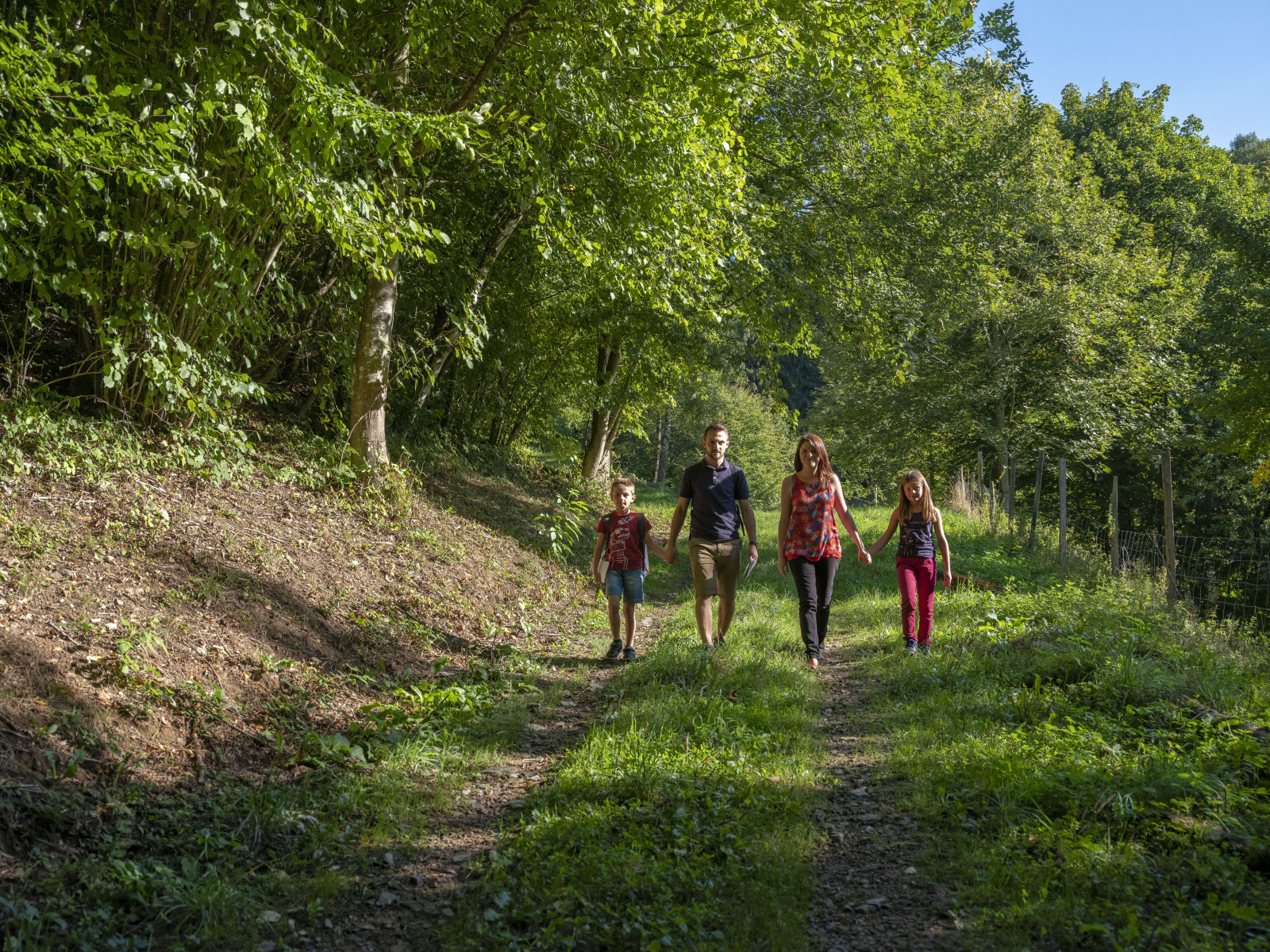 Balade familiale sur un chemin de randonnée dans un décor verdoyant
