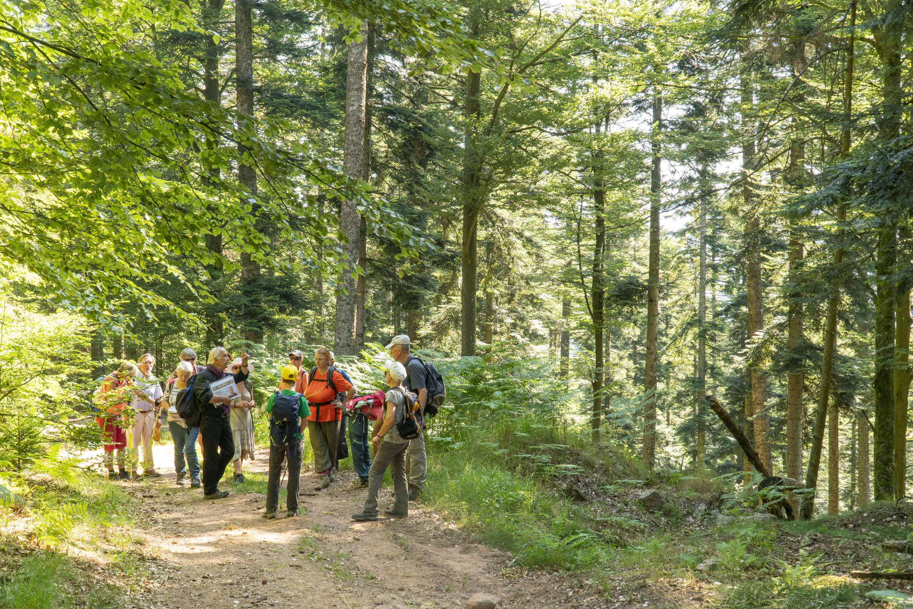 Randonnée accompagnée dans le cadre des Sentiers Plaisir au Château de Salm