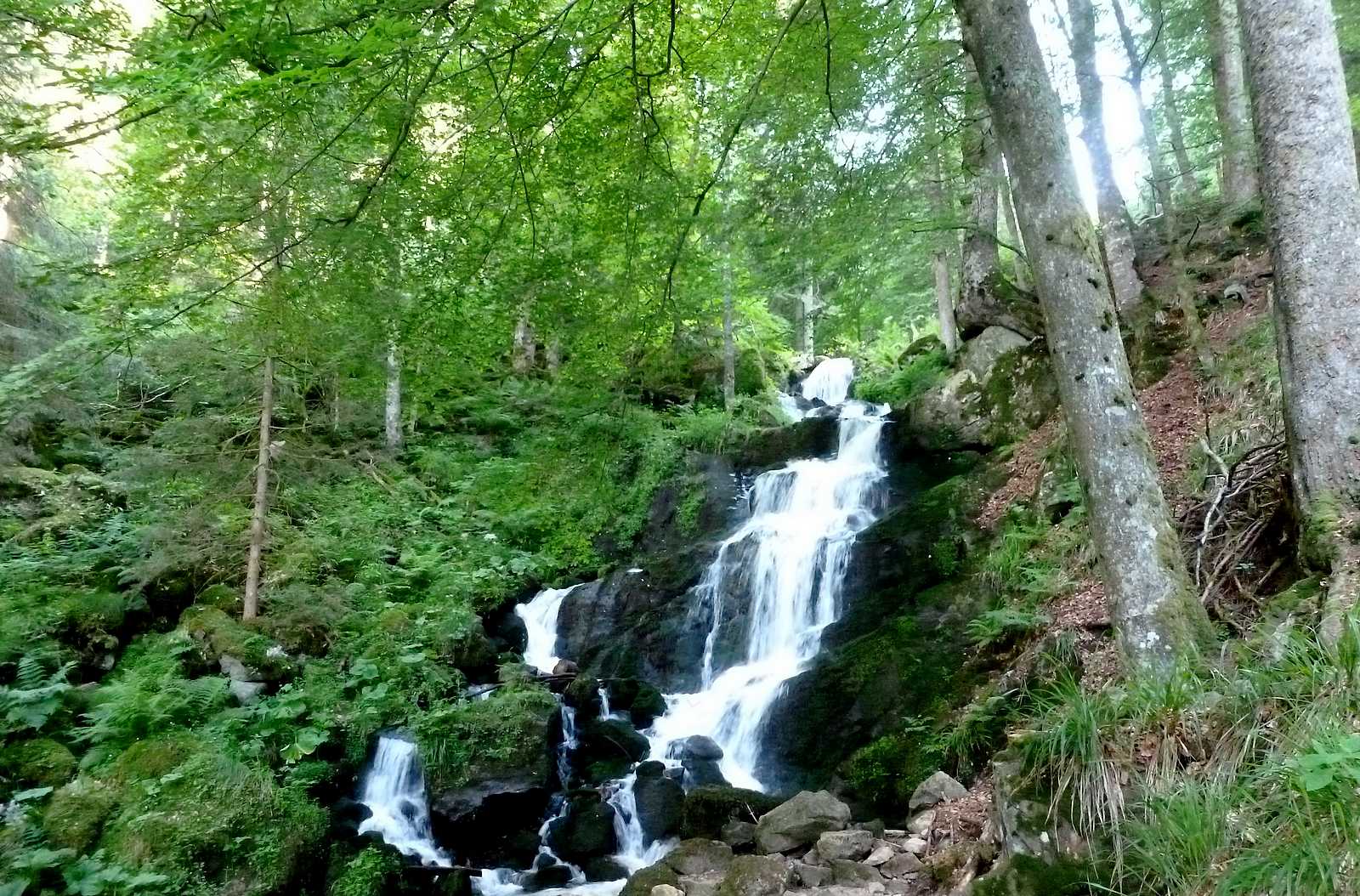 P 4046 F215000635 sentiers plaisir cascade legendes et traditions neuviller la roche